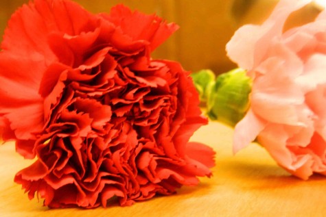 Carnations and Cookies