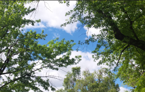 10 Free Things To Do This Summer