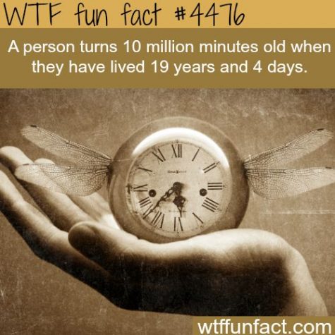 15 Totally Interesting and Random Facts