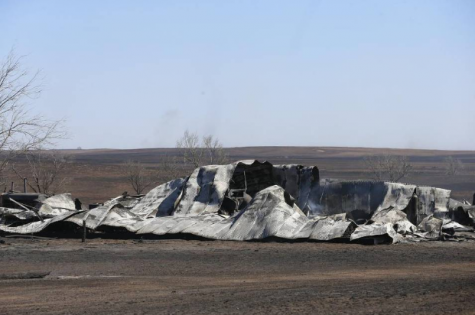 State-Wide Wildfires
