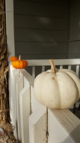 It´s fall ya´ll