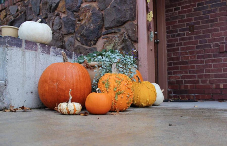 Variety of pumpkins on a porch.