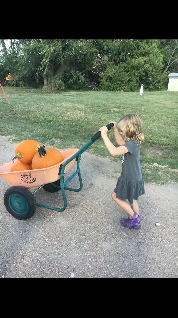 Little girl with pumpkins 