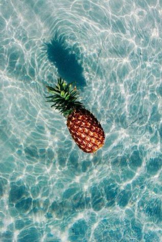 Summer Activities