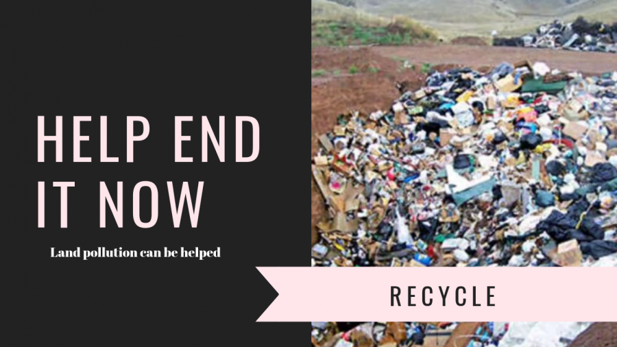 A filer for land pollution.  PSA for land pollution and recycling. Created on Canva.com 