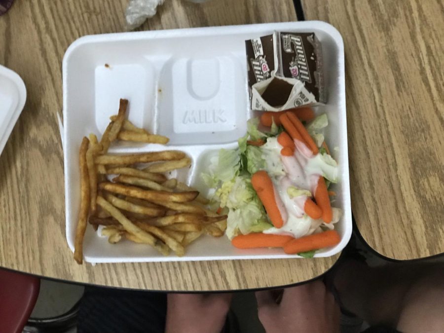 fries with salad and milk