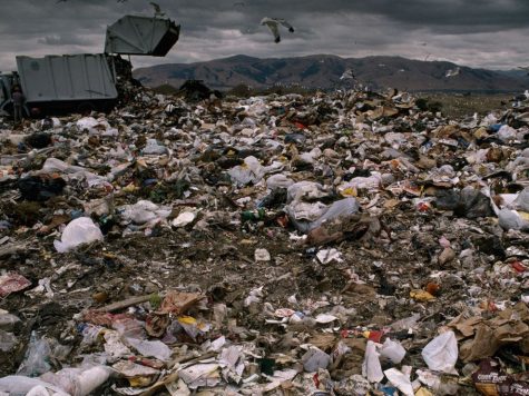 Why We Should Take Better Care of Our Environment