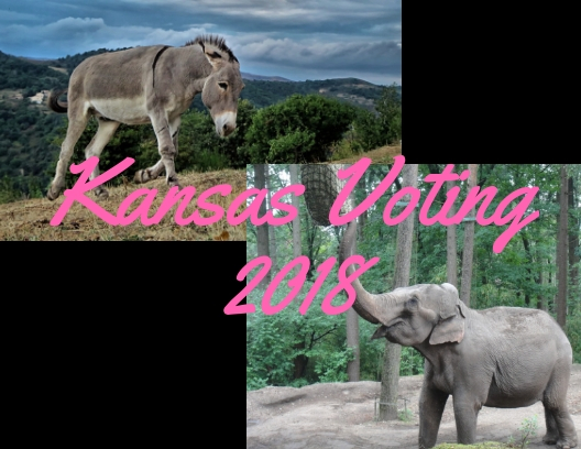 Kansas Voting 2018