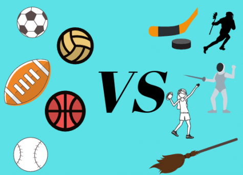 Should MHS Add Another Sport to the Athletic Program?