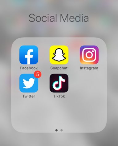 The Effects of Social Media