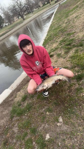 Jump into summer hobbies